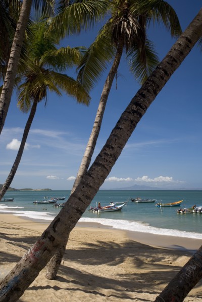 VENEZUELA, Margarita Island, Playa la Galera, View of exotic beach with palm trees and their shades