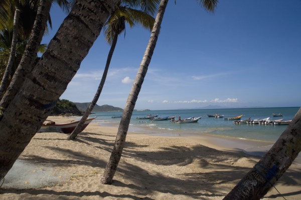 VENEZUELA, Margarita Island, Playa la Galera, View of exotic beach with palm trees and their shades