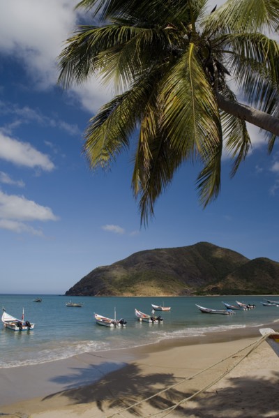 VENEZUELA, Margarita Island, Playa la Galera, View of exotic beach with palm trees and their shades