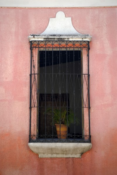 VENEZUELA, Bolivar State, Ciudad Bolivar, open window with a plant in a pot behind the black iron