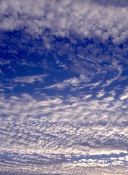 Windswept cloudscape. White