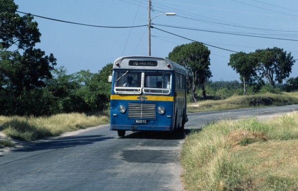Local bus. Barbadian Blue West Indies