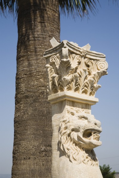 Selcuk, Izmir Province, Turkey. Corinthian column with protective lion mask beneath palm tree at