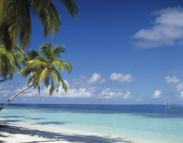 Beach, Maldives. Deserted beach with tourists on catamaran boat in the Indian Ocean. Maldives