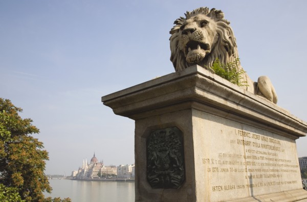 Budapest, Pest County, Hungary. Lion sculpture on the Chain Bridge with Hungarian Parliament