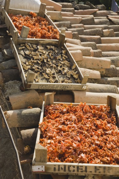 Sirince, Aydin Province, Turkey. Shallow wooden crates of chilies and mushrooms drying in late