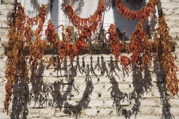 Kusadasi, Aydin Province, Turkey. Strings of red and orange chilies hung up to dry in late