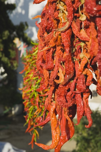 Sirince, Aydin Province, Turkey. Strings of brightly coloured red and green chilies hanging up to