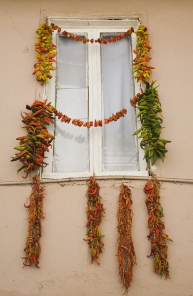 Kusadasi, Aydin Province, Turkey. Strings of red green and orange chili peppers strung up to dry in