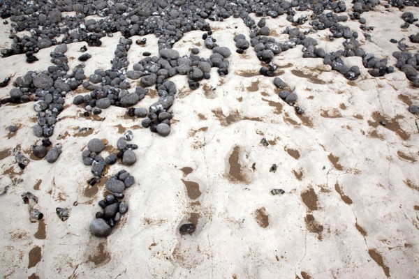Birling Gap, East Sussex, England. Pebbles of various sizes deposited on chalk shelf by the sea.