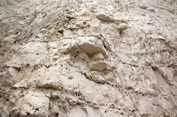 Birling Gap, East Sussex, England. Looking up at chalk cliff face showing various strata layers.