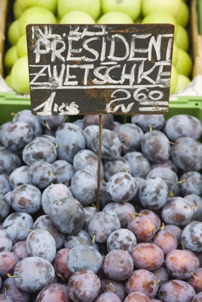 Vienna, Austria. The Naschmarkt. Fresh plums for sale on market fruit stall display. Austria