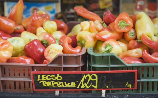 Budapest, Pest County, Hungary. Crate of red orange and yellow Capsicum annuum or Bell Chili