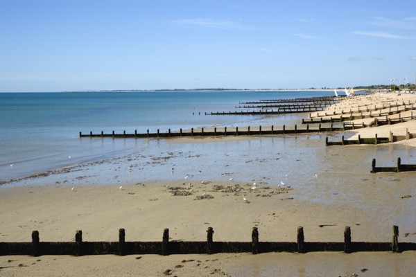 England, West Sussex, Bognor Regis, Wooden groynes at low tide used as sea defences against erosion