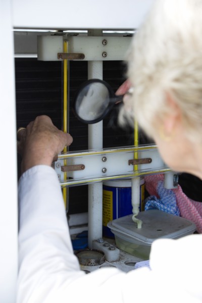 Climate, Weather, Measurements, Female weather observer using a magnifying glass to take readings
