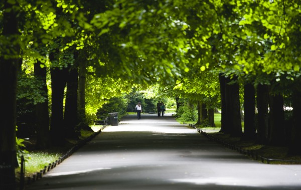 Ireland, County Dublin, Dublin City, People on the Lime Walk in the shade of trees in Saint