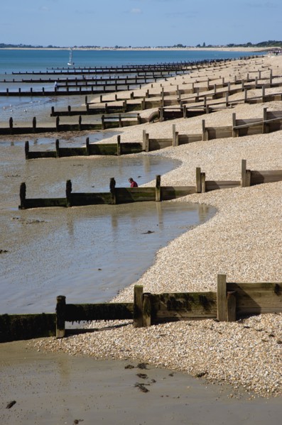 England, West Sussex, Bognor Regis, Wooden groynes at low tide used as sea defences against erosion