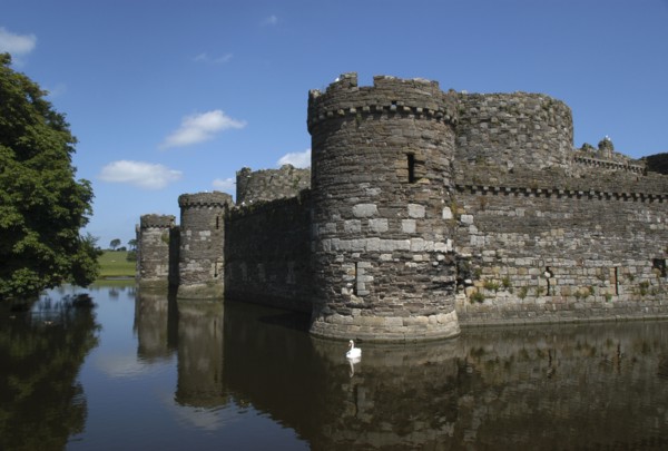 Wales, General, Conifer Castle seen over surrounding moat with floating swan