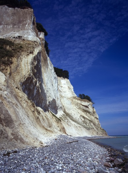 Denmark, Isle of Mon, Mons Klint, East facing chalk sea cliffs with flintstone beach.  Blue sky