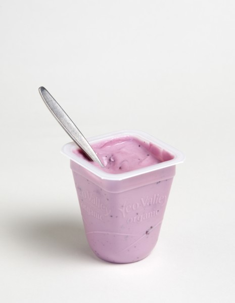 Yeo Valley probiotic blueberry fruit yogurt with spoon in pot against a white background. Photo :