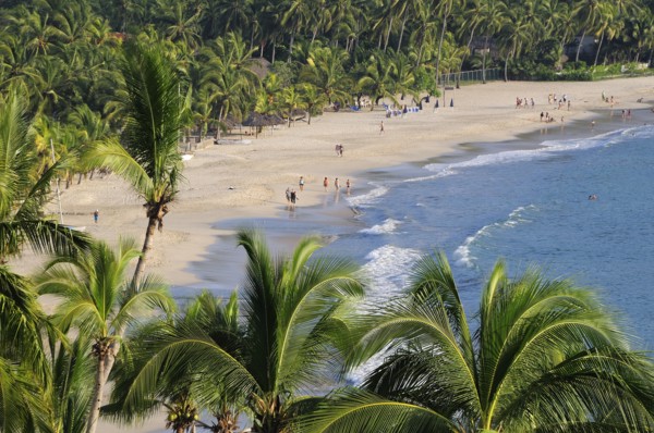 Mexico, Guerrero, Zihuatanejo, View over lush green palm trees onto Playa la Ropa sandy beach.