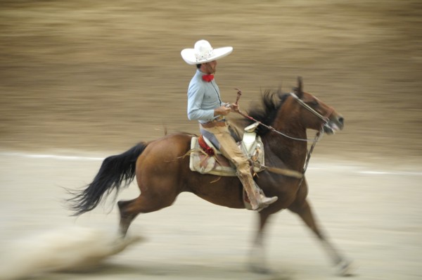Mexico, Bajio, Zacatecas, Traditional horseman or Charro performing at Mexican rodeo. Single horse