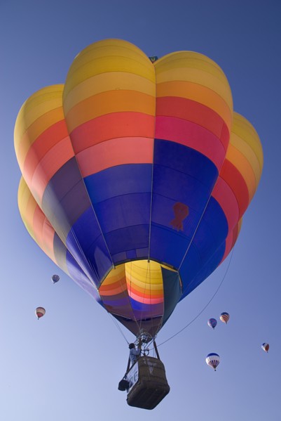 USA, New Mexico, Albuquerque, Annual balloon fiesta colourful hot air balloons ascending. 
Photo :