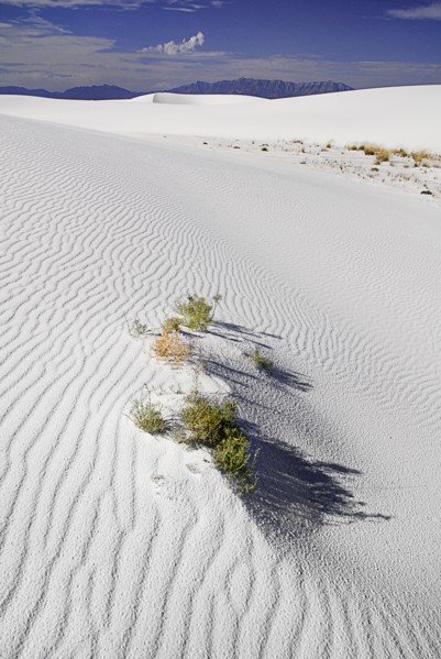 USA, New Mexico, Otero County, White Sands National Monunment. Landscape of wind rippled dunes of