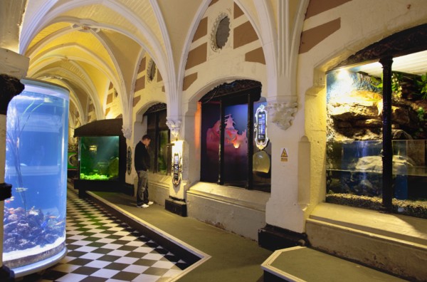 England, East Sussex, Brighton, Interior of the Sea Life Centre underground Aquarium on the
