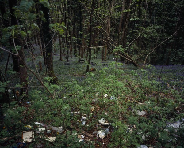 Wales, Gwynedd, Environment, Discarded household and general rubbish dumped in roadside bluebell