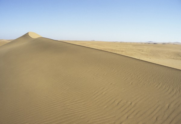 Namibia, Namib, Naukluft Desert, Sand dunes in the De Beers Diamond mining area. 
Photo : Adrian