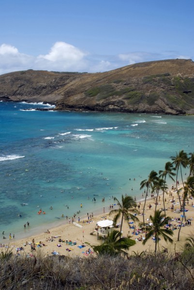 USA, Hawaii, Oahu Island, View over Hanuama Bay. 
Photo : Chris Penn