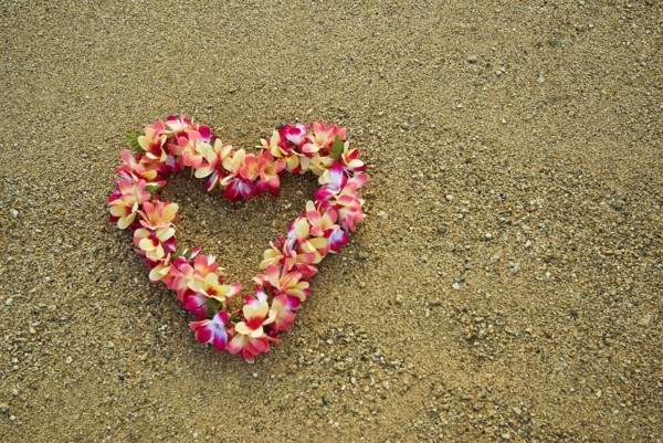 USA, Hawaii, Oahu Island, Heart shaped lei on Waikiki beach. 
Photo : Chris Penn