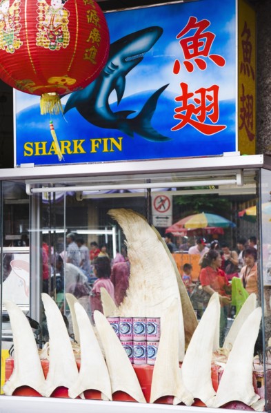 Shark's Fin restaurant in Chinatown during Chinese New Year.