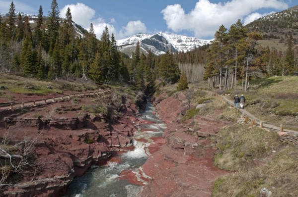 Red Rock Canyon at Waterton Lakes National Park. Meltwater from a glacier runs through the canyon The red rock is argillite which contains oxidized iron. Pine trees atop the canyon Couple hiking along...