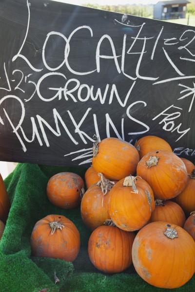 Pumpkins for sale at Grange Farms market store.