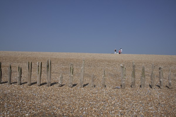 View of rotten wooden groynes on the shingle beach and people walking in distance..
