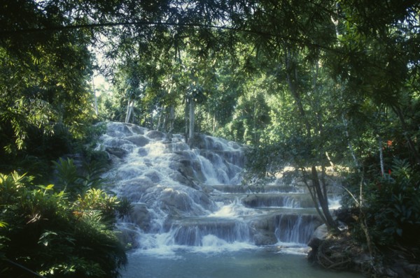 West Indies, Jamaica, Ocho Rios, Dunns River Falls. Waterfall tumbling over rocks surrounded by