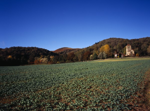 England, Hereford and Worcester, Malvern Hills, View across field and brassica crop towards Little