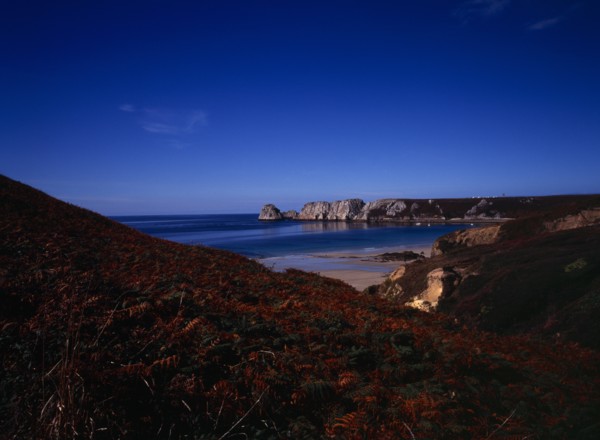 France, Bretagne, Presqu'ile de Crozon, Pointe de Penhir from above Veryach Beach with braken