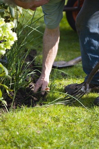 Gardening, Gardener