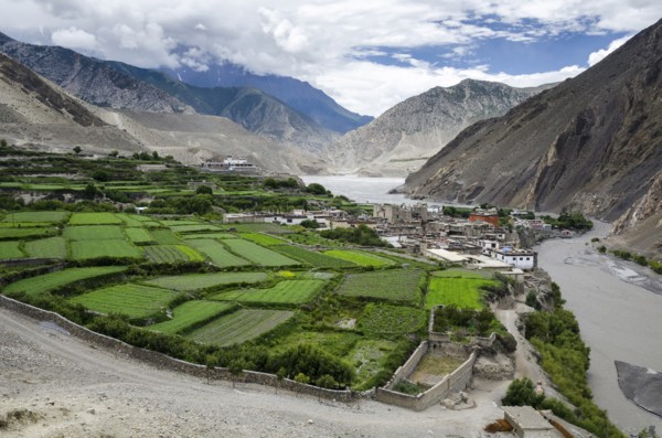 Nepal, Upper Mustang, Farming, Farmland field pattern near Kagbeni village. Photo : Sergey Orlov