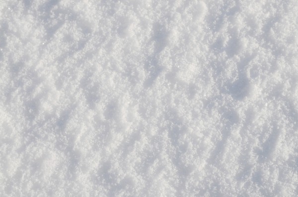 Climate, Weather, Winter, Details of fresh snow. Photo : Bob Battersby
