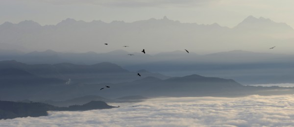 Nepal, Nagarkot, View across clouded Kathmandu valley towards Himalayan mountains birds of prey