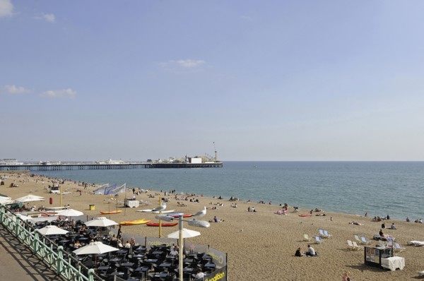 View of Seagulls with Brighton beach and Pier Brighton East Sussex England