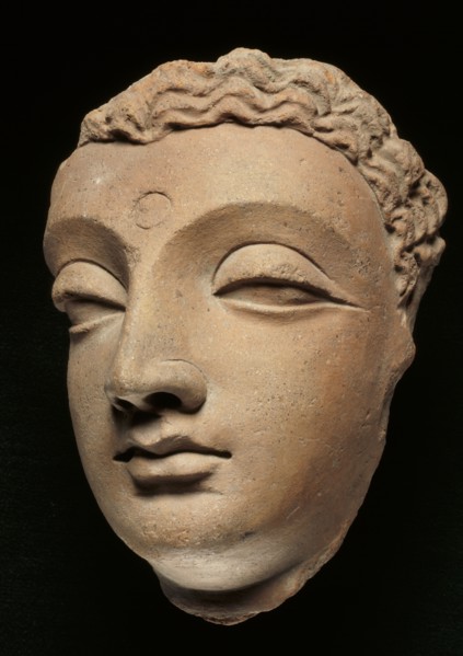 Tête de Bouddha provenant du Gandhara