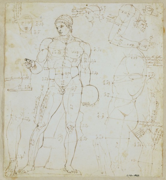 Deare, Croquis d'anatomie