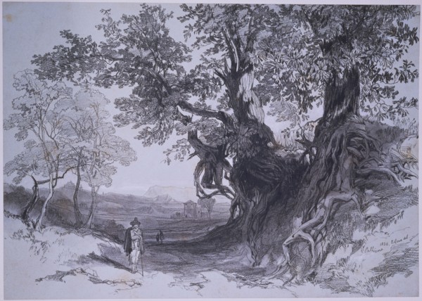 Lear, Paliano