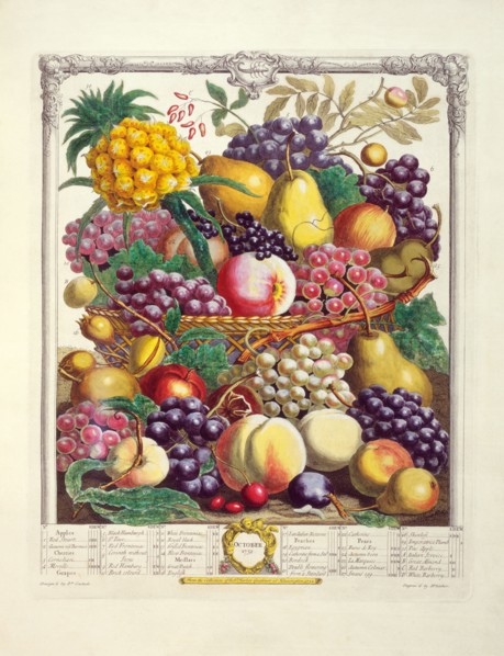 Furber, Les douze mois des Fruits : Octobre