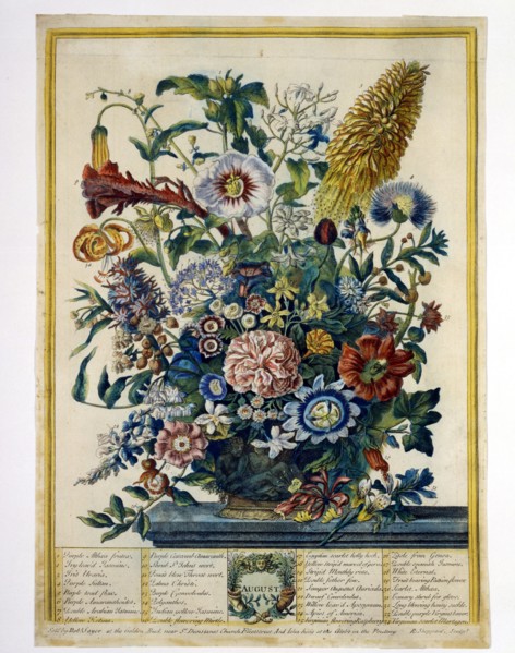 Furber, Les Douze Mois des Fleurs : Août